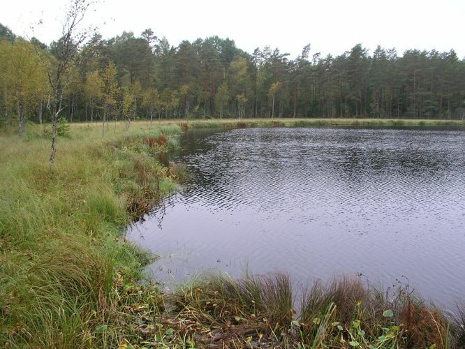 Maakond: Lääne-Virumaa Veekogu nimi: Neeruti Sinijärv Pildistamise aeg: 14. september 2009 Pildistaja: H. Timm Pildistamise koht: talu poolt kaldalt Asimuut: