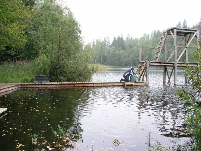 Maakond: Lääne-Virumaa Veekogu nimi: Neeruti Tagajärv Pildistamise aeg: 14. september 2009 Pildistaja: H. Timm Pildistamise koht: teadmata Asimuut: