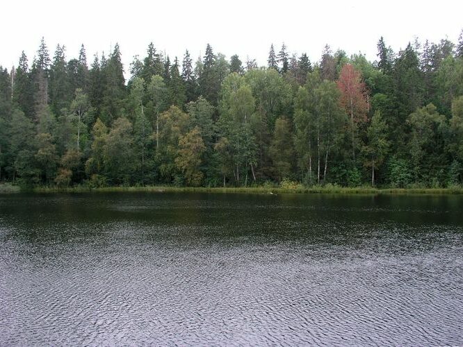 Maakond: Lääne-Virumaa Veekogu nimi: Neeruti Tagajärv Pildistamise aeg: 14. september 2009 Pildistaja: H. Timm Pildistamise koht: teadmata Asimuut: