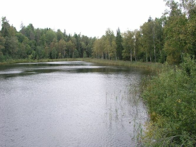 Maakond: Lääne-Virumaa Veekogu nimi: Neeruti Tagajärv Pildistamise aeg: 14. september 2009 Pildistaja: H. Timm Pildistamise koht: teadmata Asimuut: