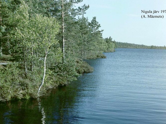 Maakond: Pärnumaa Veekogu nimi: Nigula järv Pildistamise aeg: 1977 Pildistaja: A. Mäemets Pildistamise koht: teadmata Asimuut: