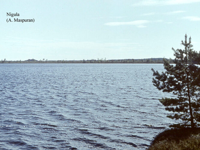 Maakond: Pärnumaa Veekogu nimi: Nigula järv Pildistamise aeg: teadmata Pildistaja: A. Maspuran Pildistamise koht: teadmata Asimuut: