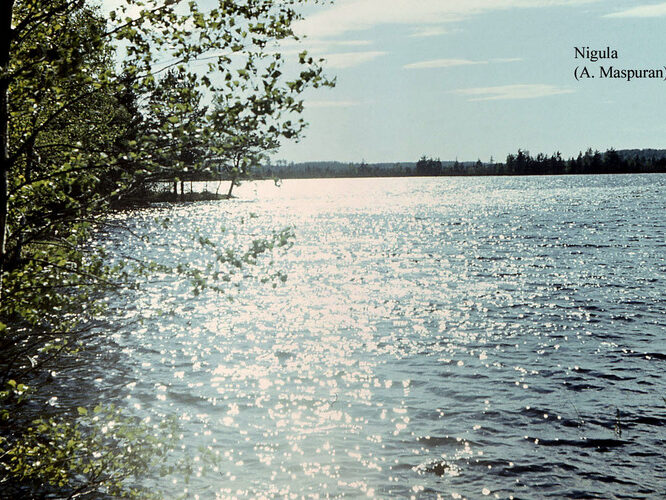 Maakond: Pärnumaa Veekogu nimi: Nigula järv Pildistamise aeg: teadmata Pildistaja: A. Maspuran Pildistamise koht: teadmata Asimuut: