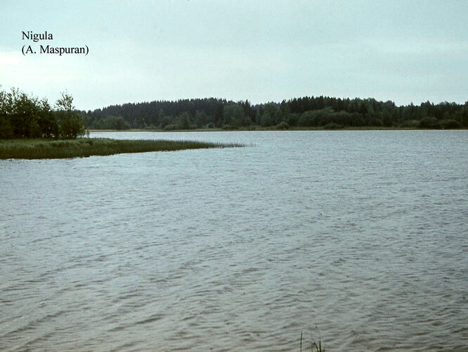 Maakond: Pärnumaa Veekogu nimi: Nigula järv Pildistamise aeg: teadmata Pildistaja: A. Maspuran Pildistamise koht: teadmata Asimuut: