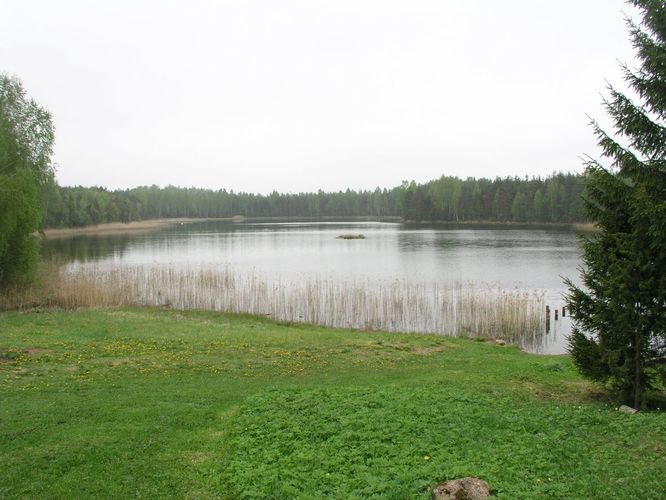 Maakond: Ida-Virumaa Veekogu nimi: Niinsaare järv Pildistamise aeg: 22. mai 2006 Pildistaja: H. Timm Pildistamise koht: teadmata Asimuut: