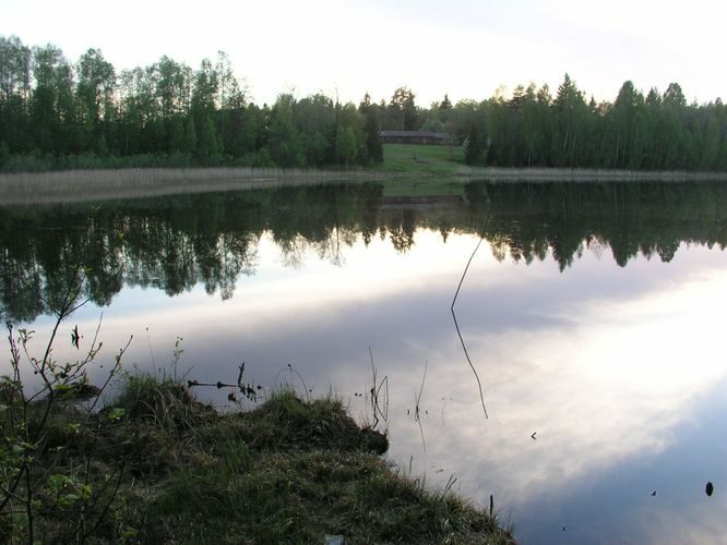 Maakond: Ida-Virumaa Veekogu nimi: Niinsaare järv Pildistamise aeg: 22. mai 2006 Pildistaja: H. Timm Pildistamise koht: teadmata Asimuut: