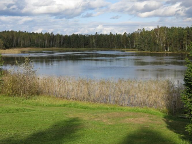 Maakond: Ida-Virumaa Veekogu nimi: Niinsaare järv Pildistamise aeg: 24. september 2014 Pildistaja: H. Timm Pildistamise koht: teadmata Asimuut: