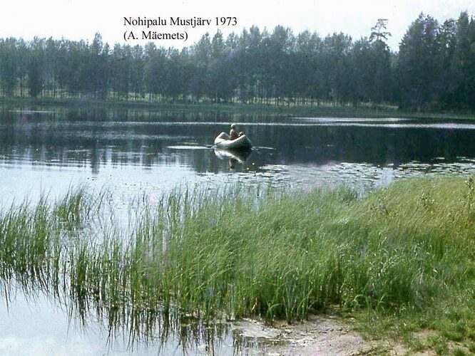 Maakond: Põlvamaa Veekogu nimi: Nohipalo Mustjärv Pildistamise aeg: 1973 Pildistaja: A. Mäemets Pildistamise koht: NE kaldalt Asimuut: WNW