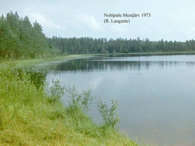 Maakond: Põlvamaa Veekogu nimi: Nohipalo Mustjärv Pildistamise aeg: 1973 Pildistaja: R. Laugaste Pildistamise koht: NE kaldalt Asimuut: S