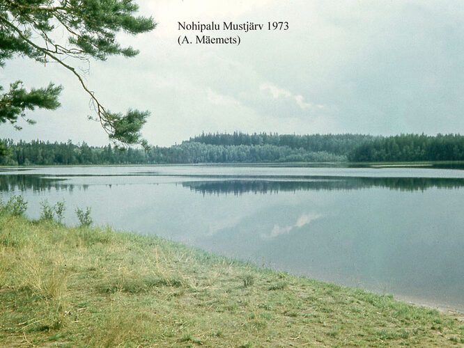 Maakond: Põlvamaa Veekogu nimi: Nohipalo Mustjärv Pildistamise aeg: 1973 Pildistaja: A. Mäemets Pildistamise koht: NE kaldalt Asimuut: SSW