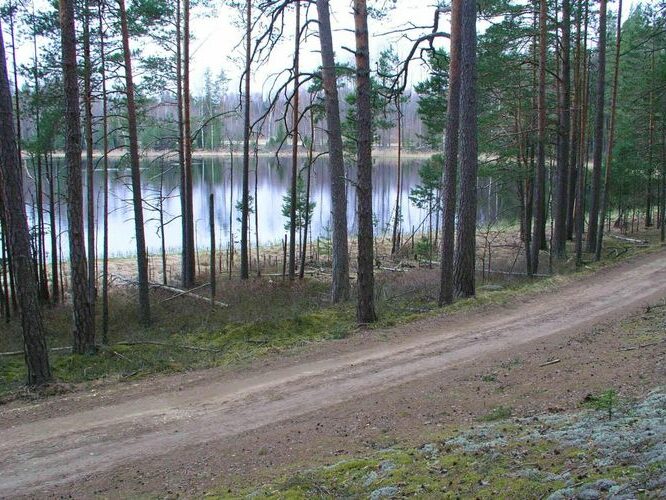 Maakond: Põlvamaa Veekogu nimi: Nohipalo Mustjärv Pildistamise aeg: 2. mai 2005 Pildistaja: H. Timm Pildistamise koht: teadmata Asimuut: