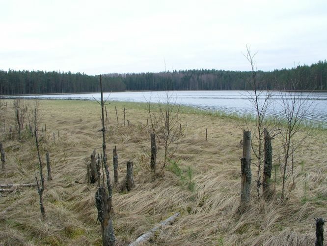 Maakond: Põlvamaa Veekogu nimi: Nohipalo Mustjärv Pildistamise aeg: 2. mai 2005 Pildistaja: H. Timm Pildistamise koht: teadmata Asimuut: