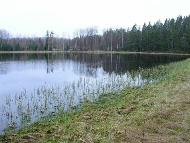 Maakond: Põlvamaa Veekogu nimi: Nohipalo Mustjärv Pildistamise aeg: 2. mai 2005 Pildistaja: H. Timm Pildistamise koht: teadmata Asimuut: