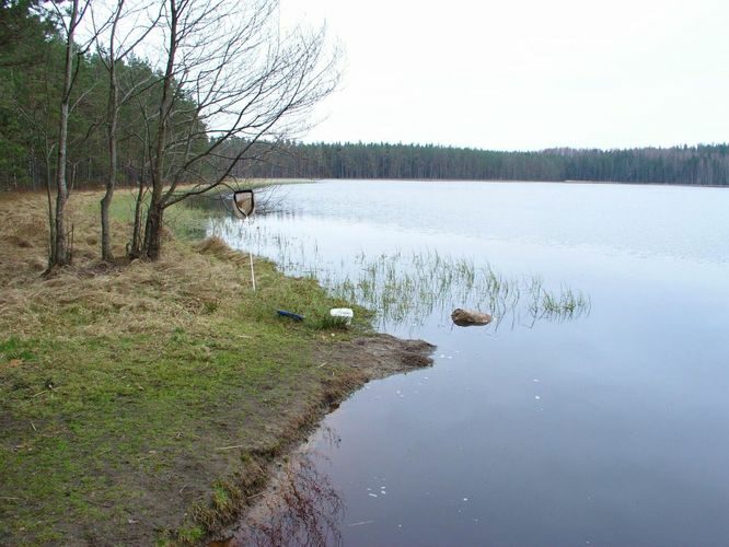 Maakond: Põlvamaa Veekogu nimi: Nohipalo Mustjärv Pildistamise aeg: 2. mai 2005 Pildistaja: H. Timm Pildistamise koht: teadmata Asimuut: