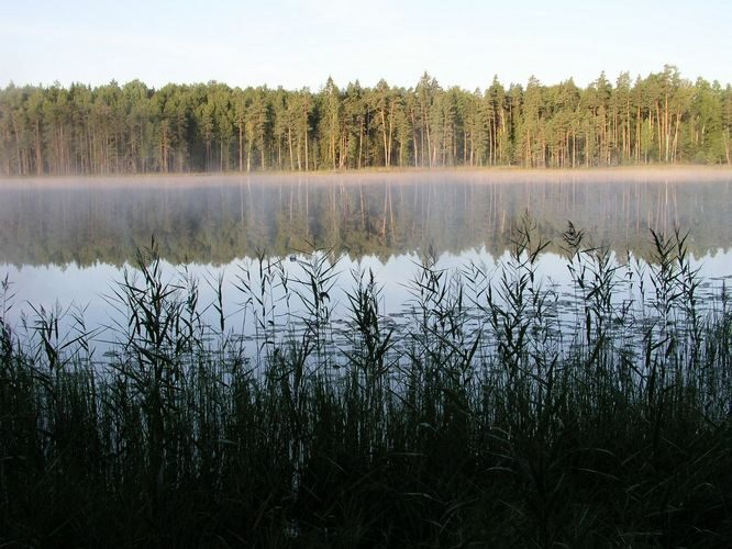 Maakond: Põlvamaa Veekogu nimi: Nohipalo Mustjärv Pildistamise aeg: august 2009 Pildistaja: H. Timm Pildistamise koht: teadmata Asimuut: