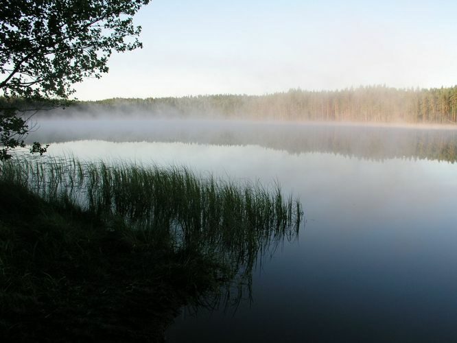 Maakond: Põlvamaa Veekogu nimi: Nohipalo Mustjärv Pildistamise aeg: august 2009 Pildistaja: H. Timm Pildistamise koht: teadmata Asimuut: