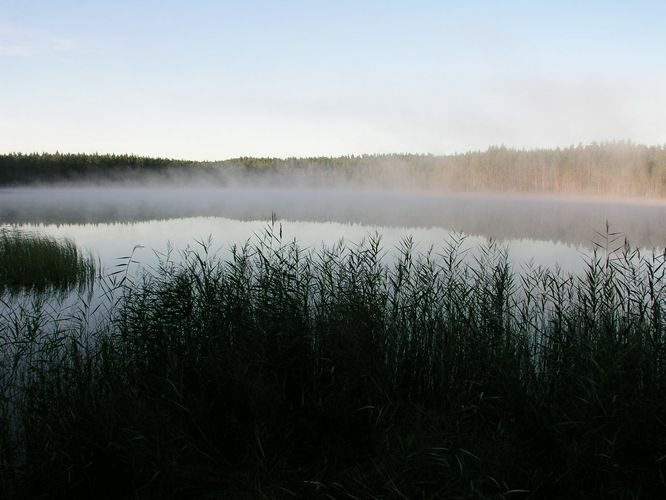 Maakond: Põlvamaa Veekogu nimi: Nohipalo Mustjärv Pildistamise aeg: august 2009 Pildistaja: H. Timm Pildistamise koht: teadmata Asimuut: