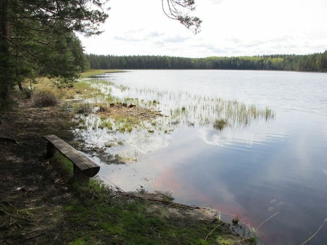 Maakond: Põlvamaa Veekogu nimi: Nohipalo Mustjärv Pildistamise aeg: 6. mai 2010 Pildistaja: H. Timm Pildistamise koht: teadmata Asimuut: