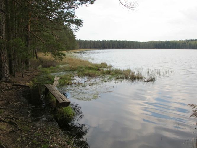 Maakond: Põlvamaa Veekogu nimi: Nohipalo Mustjärv Pildistamise aeg: 5. mai 2012 Pildistaja: H. Timm Pildistamise koht: teadmata Asimuut: