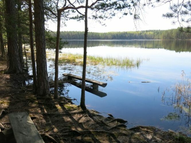 Maakond: Põlvamaa Veekogu nimi: Nohipalo Mustjärv Pildistamise aeg: 8. mai 2013 Pildistaja: H. Timm Pildistamise koht: teadmata Asimuut: