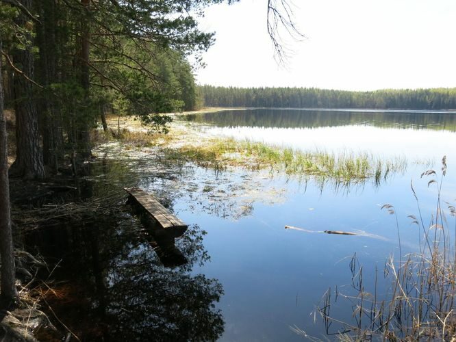 Maakond: Põlvamaa Veekogu nimi: Nohipalo Mustjärv Pildistamise aeg: 8. mai 2013 Pildistaja: H. Timm Pildistamise koht: teadmata Asimuut: