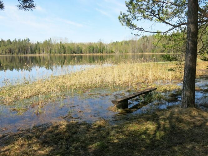 Maakond: Põlvamaa Veekogu nimi: Nohipalo Mustjärv Pildistamise aeg: 8. mai 2013 Pildistaja: H. Timm Pildistamise koht: teadmata Asimuut: