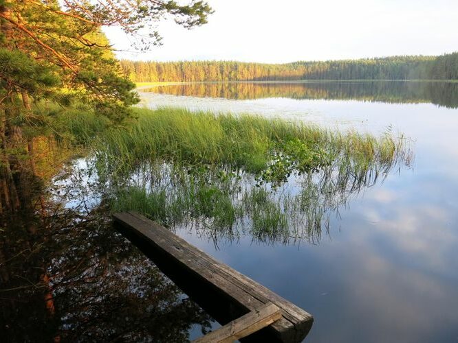 Maakond: Põlvamaa Veekogu nimi: Nohipalo Mustjärv Pildistamise aeg: 2. august 2013 Pildistaja: H. Timm Pildistamise koht: teadmata Asimuut: