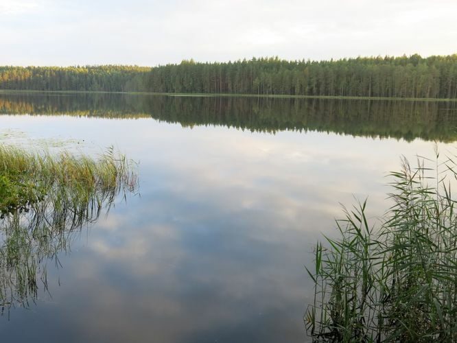 Maakond: Põlvamaa Veekogu nimi: Nohipalo Mustjärv Pildistamise aeg: 2. august 2013 Pildistaja: H. Timm Pildistamise koht: teadmata Asimuut: