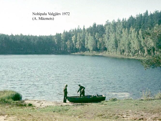 Maakond: Põlvamaa Veekogu nimi: Nohipalo Valgõjärv Pildistamise aeg: 1972 Pildistaja: A. Mäemets Pildistamise koht: NE kaldalt Asimuut: SW