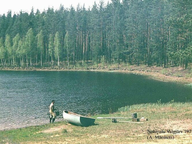 Maakond: Põlvamaa Veekogu nimi: Nohipalo Valgõjärv Pildistamise aeg: 1972 Pildistaja: A. Mäemets Pildistamise koht: NE kaldalt Asimuut: WSW