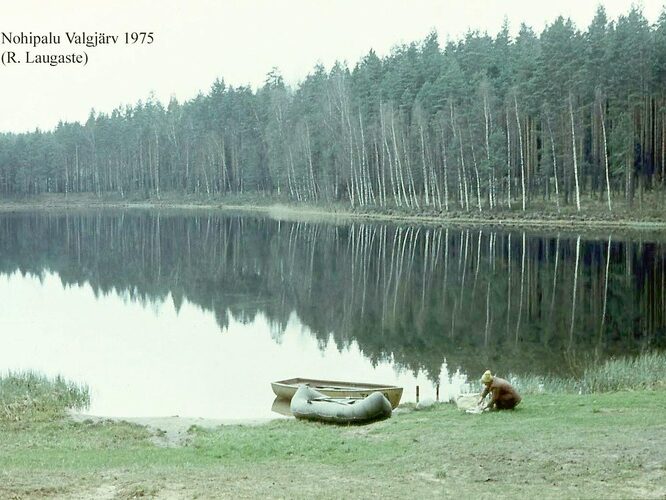 Maakond: Põlvamaa Veekogu nimi: Nohipalo Valgõjärv Pildistamise aeg: 1975 Pildistaja: R. Laugaste Pildistamise koht: NE kaldalt Asimuut: SW