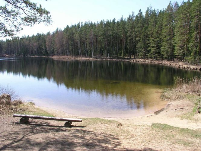 Maakond: Põlvamaa Veekogu nimi: Nohipalo Valgõjärv Pildistamise aeg: 5. mai 2003 Pildistaja: H. Timm Pildistamise koht: teadmata Asimuut: