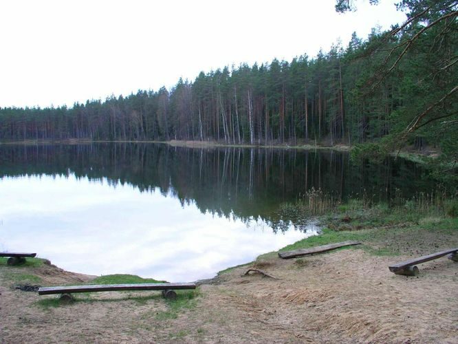 Maakond: Põlvamaa Veekogu nimi: Nohipalo Valgõjärv Pildistamise aeg: 9. mai 2005 Pildistaja: H. Timm Pildistamise koht: teadmata Asimuut: