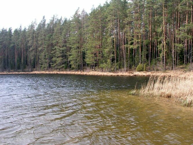 Maakond: Põlvamaa Veekogu nimi: Nohipalo Valgõjärv Pildistamise aeg: 2. mai 2006 Pildistaja: H. Timm Pildistamise koht: teadmata Asimuut: