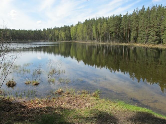 Maakond: Põlvamaa Veekogu nimi: Nohipalo Valgõjärv Pildistamise aeg: 6. mai 2010 Pildistaja: H. Timm Pildistamise koht: teadmata Asimuut: