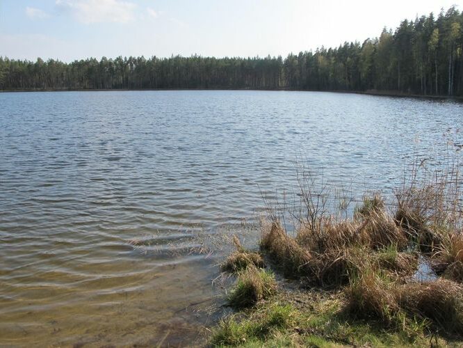 Maakond: Põlvamaa Veekogu nimi: Nohipalo Valgõjärv Pildistamise aeg: 5. mai 2012 Pildistaja: H. Timm Pildistamise koht: teadmata Asimuut: