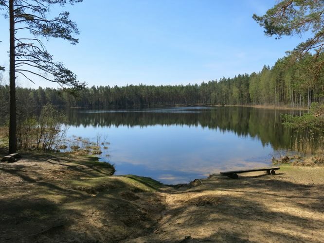 Maakond: Põlvamaa Veekogu nimi: Nohipalo Valgõjärv Pildistamise aeg: 8. mai 2013 Pildistaja: H. Timm Pildistamise koht: teadmata Asimuut: