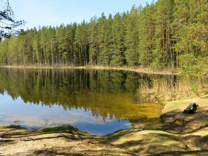 Maakond: Põlvamaa Veekogu nimi: Nohipalo Valgõjärv Pildistamise aeg: 8. mai 2013 Pildistaja: H. Timm Pildistamise koht: teadmata Asimuut: