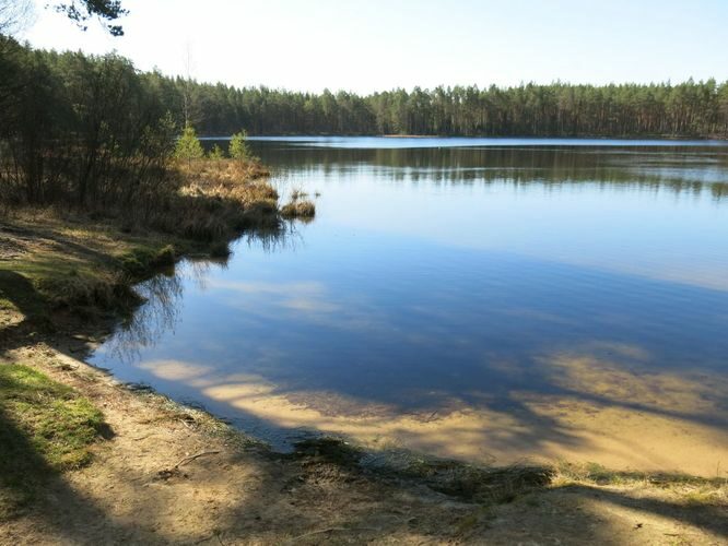 Maakond: Põlvamaa Veekogu nimi: Nohipalo Valgõjärv Pildistamise aeg: 23. aprill 2014 Pildistaja: H. Timm Pildistamise koht: teadmata Asimuut: