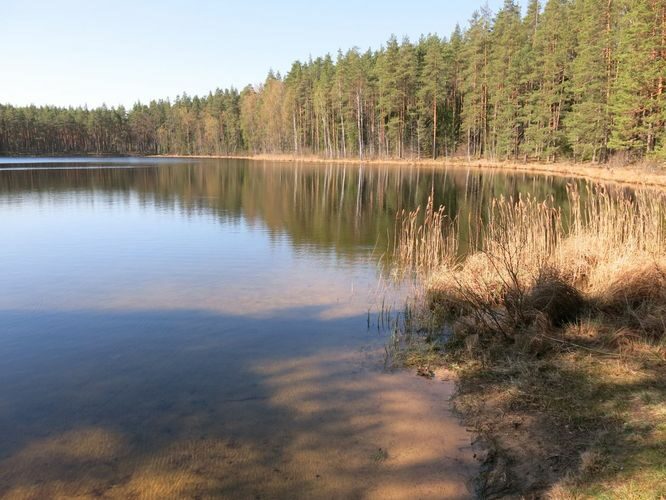 Maakond: Põlvamaa Veekogu nimi: Nohipalo Valgõjärv Pildistamise aeg: 23. aprill 2014 Pildistaja: H. Timm Pildistamise koht: teadmata Asimuut: