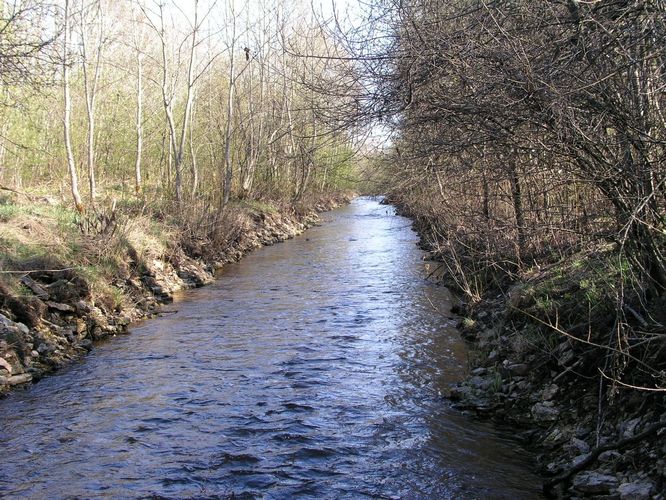 Maakond: Jõgevamaa Veekogu nimi: Nõmavere peakraav Pildistamise aeg: 1. mai 2009 Pildistaja: H. Timm Pildistamise koht: Külmoja Asimuut: