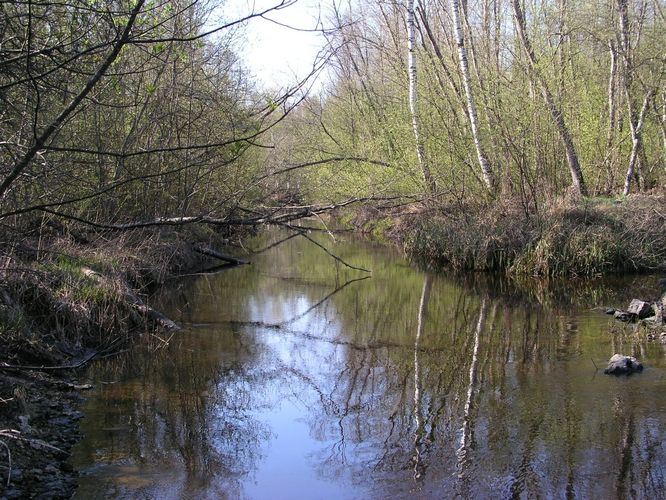 Maakond: Jõgevamaa Veekogu nimi: Nõmavere peakraav Pildistamise aeg: 1. mai 2009 Pildistaja: H. Timm Pildistamise koht: Külmoja Asimuut: