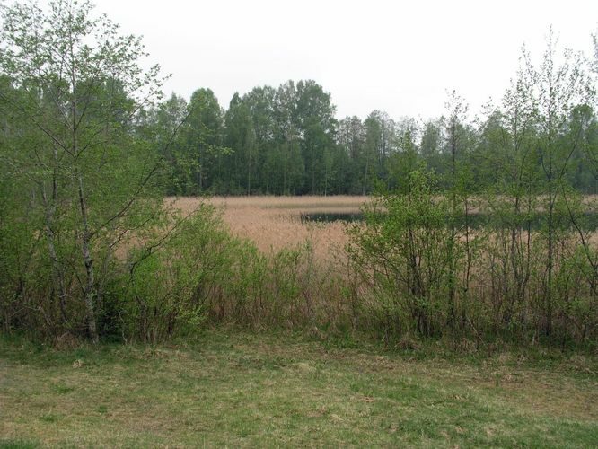 Maakond: Ida-Virumaa Veekogu nimi: Nõmmejärv Pildistamise aeg: 22. mai 2006 Pildistaja: H. Timm Pildistamise koht: teadmata Asimuut: