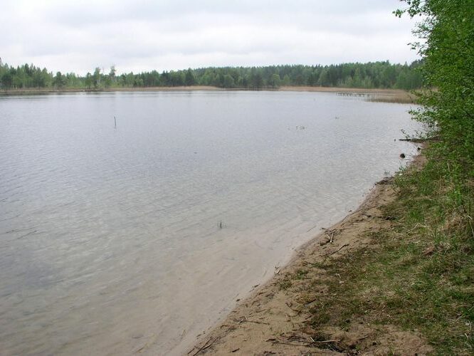 Maakond: Ida-Virumaa Veekogu nimi: Nõmmejärv Pildistamise aeg: 22. mai 2006 Pildistaja: H. Timm Pildistamise koht: teadmata Asimuut: