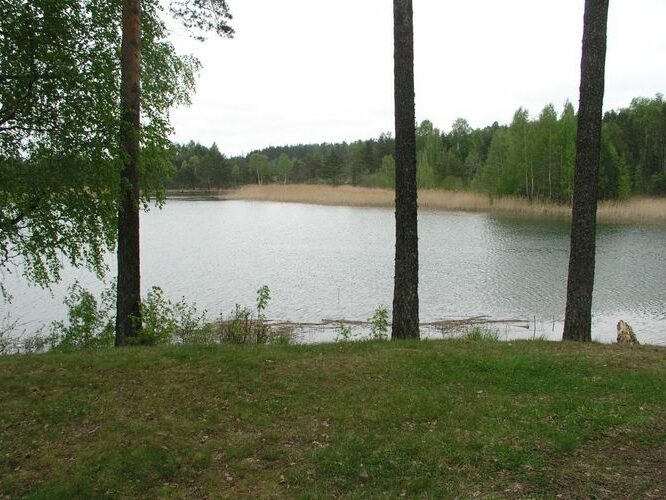 Maakond: Ida-Virumaa Veekogu nimi: Nõmmejärv Pildistamise aeg: 22. mai 2006 Pildistaja: H. Timm Pildistamise koht: teadmata Asimuut: