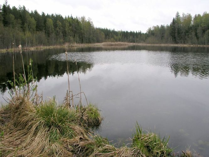 Maakond: Lääne-Virumaa Veekogu nimi: Nõmmoja Kalajärv Pildistamise aeg: 19. mai 2003 Pildistaja: H. Timm Pildistamise koht: teadmata Asimuut: