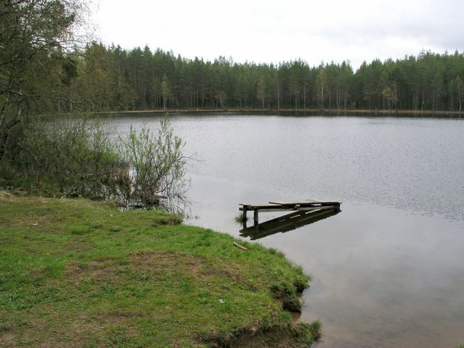 Maakond: Lääne-Virumaa Veekogu nimi: Nõmmoja Linajärv Pildistamise aeg: 19. mai 2003 Pildistaja: H. Timm Pildistamise koht: teadmata Asimuut: