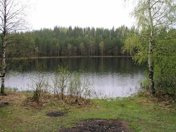 Maakond: Lääne-Virumaa Veekogu nimi: Nõmmoja Linajärv Pildistamise aeg: 19. mai 2003 Pildistaja: H. Timm Pildistamise koht: teadmata Asimuut: