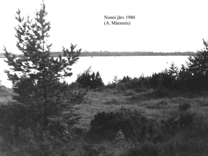 Maakond: Saaremaa Veekogu nimi: Nonni järv Pildistamise aeg: 1980 Pildistaja: A. Mäemets Pildistamise koht: teadmata Asimuut: