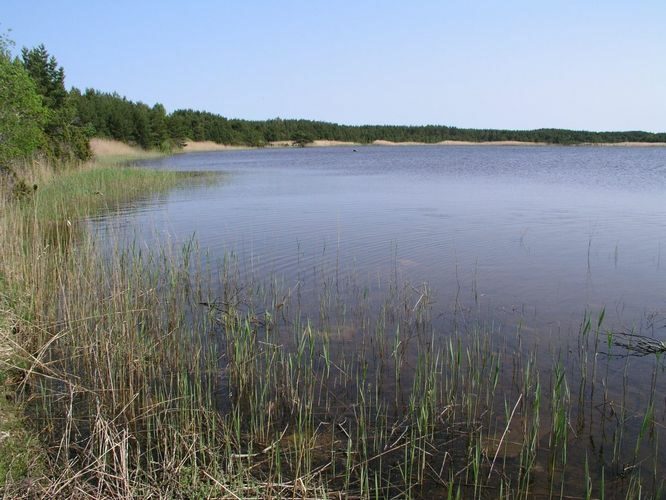 Maakond: Saaremaa Veekogu nimi: Nonni järv Pildistamise aeg: juuli 2003 Pildistaja: H. Timm Pildistamise koht: teadmata Asimuut: